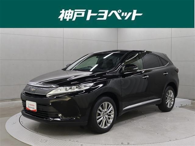 åʥץݡ󡢹鴶Τ륤ƥꥢŬ 1