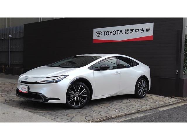 ȥ西 ץꥦ ڡꥢ顡ץꥯå塡Уץ