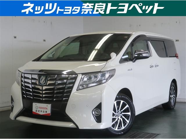 ȥ西 եɥϥ֥å ǡƥѥå¥˥ȥ롼ȥ