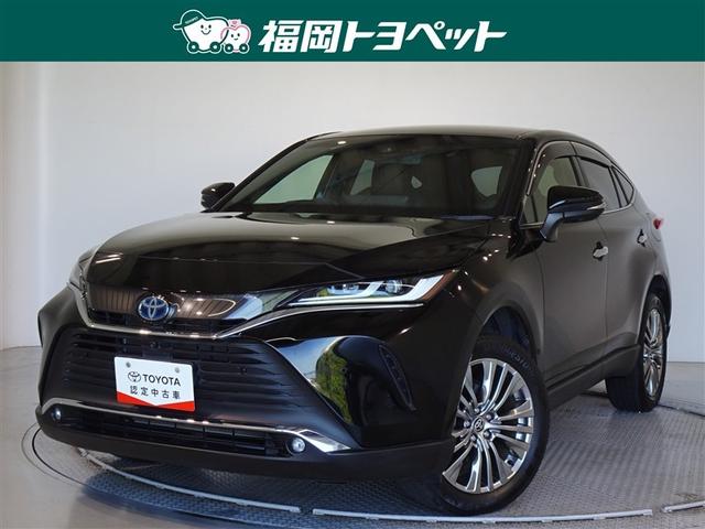 ȥ西 ϥꥢϥ֥å ڡ쥶ѥåﳲڸƥࡡ꡼ʥ