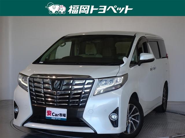 ե ǡﳲڸƥࡡ꡼ʥӡե륻 0802379A20251108T001 1