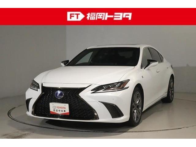 쥯 ţ ţӣ衡ƥݡġץȡ롼