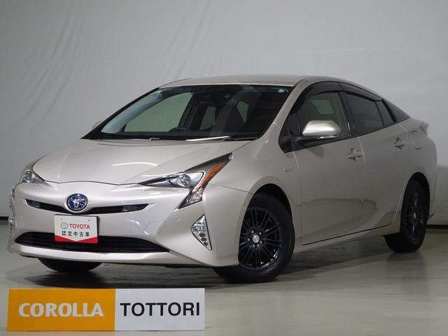 ȥ西 ץꥦ ӥեƥץ饹ե륻꡼ʥӡģ֣ĺ