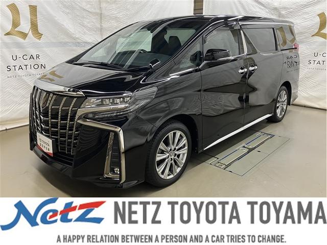 アルファード(トヨタ) ２．５Ｓ　タイプゴールドＩＩＩ　フルセグ　メモリーナビ　ミュージックプレイヤー接続可　後席モニター　バックカメラ　衝突被害軽減システム　ＥＴＣ　ドラレコ　両側電動スライド　ＬＥＤヘッドランプ　乗車定員７人　３列シート　ワンオーナー 中古車画像