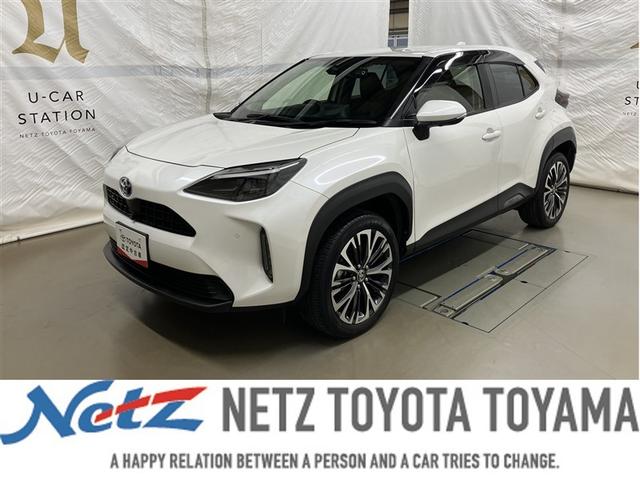 ꥹ ϥ֥åɣڡե륻꡼ʥӡߥ塼åץ쥤䡼³ 1166190A20251108T002 1