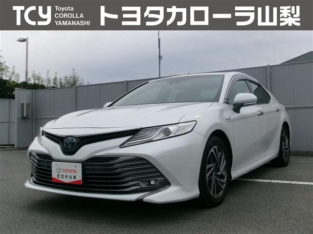 ȥ西  ǡﳲڸƥࡡ󥻥꡼ʥ