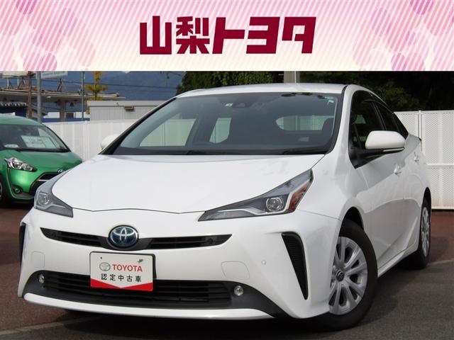 ȥ西 ץꥦ ӡ꡼ʥӡХå顡ﳲڸƥ