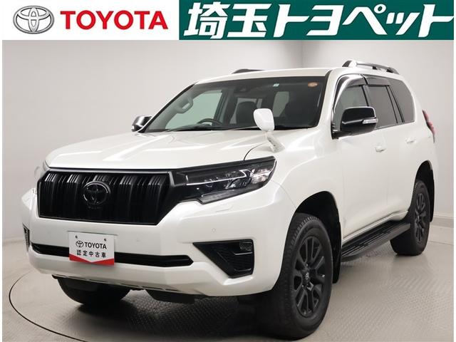 ԸˤʤޤŹˤ䤤碌 1