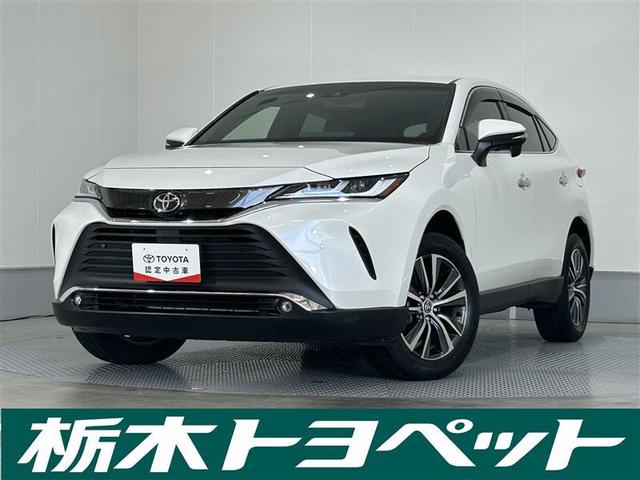 ȥ西 ϥꥢ ǡե륻꡼ʥӡߥ塼åץ쥤䡼³