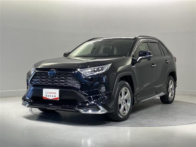 ȥ西 ң֣ ϥ֥åɣǡﳲڸ֡ɥ饤֥쥳