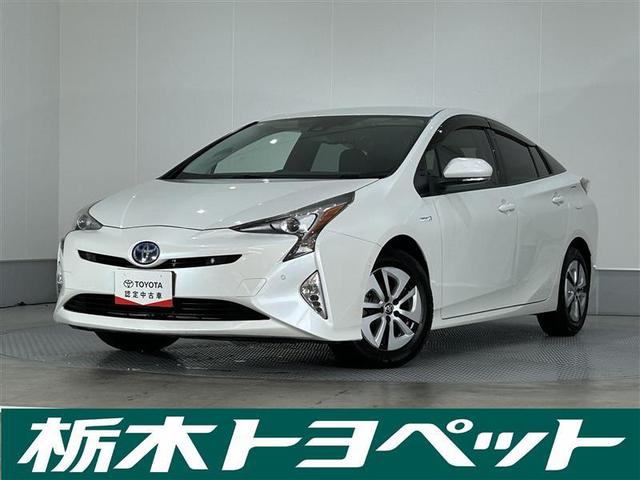 ȥ西 ץꥦ ͷڸ֥졼ƥࡡ¥˥Ͽͭ