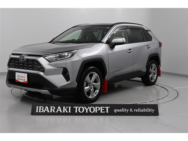 ȥ西 ң֣ ϥ֥åɣǡﳲڸ֡ɥ饤֥쥳ѥΥޥ롼