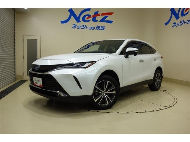 ȥ西 ϥꥢϥ֥å ǡȥåסͷڸϥǥ