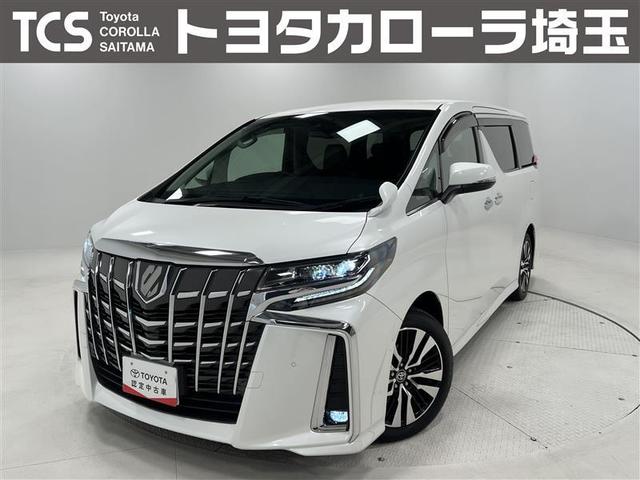 ȥ西 ե ӡåѥåر֡ﳲڸ֥졼