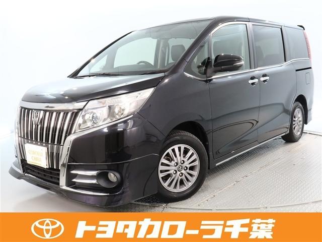 ȥ西  ǣ顡ǯ̵ݾڡʥӡե륻ԣ