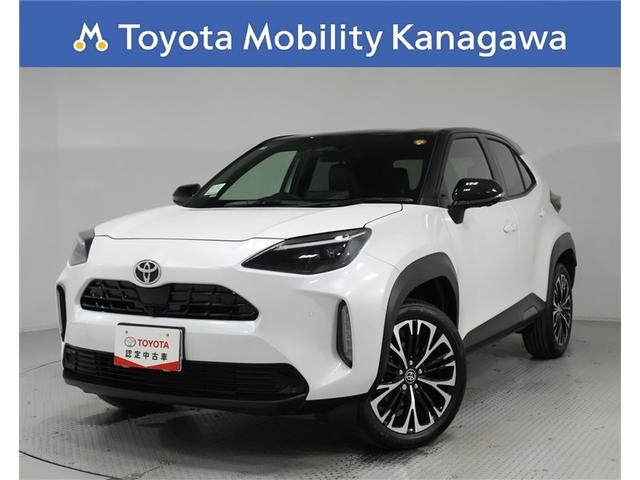 һ֡ģʥӡϥ˥ѥХåɥȣգ 1