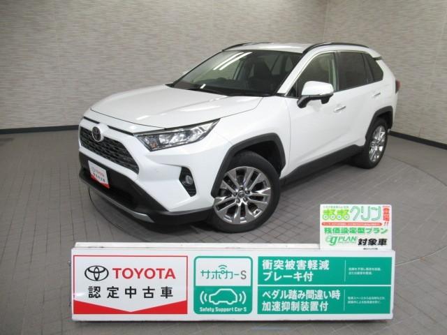 ȥ西 ң֣ ǡڥѥåƥꥸȥꥢ󥹥ʡף