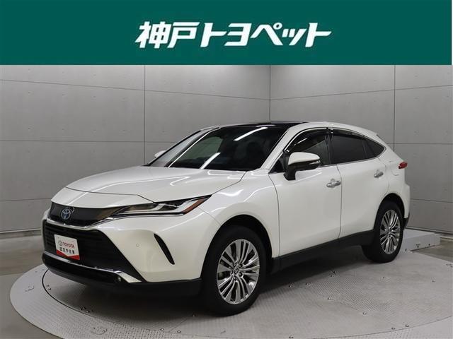 ͥȥڥåȤˤƤΤͤ˸¤ڥ䣴ܿʤ˸򴹡ۤޤ 1