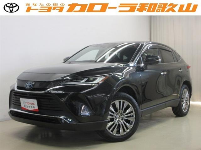 ԣӣӡʥӡѥΥޥ˥ţԣӣգ֡إȥ西ϥꥢ 1