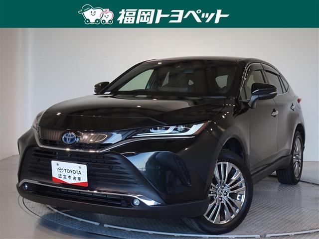 ȥ西 ϥꥢϥ֥å ڡﳲڸƥࡡ꡼ʥӡե륻