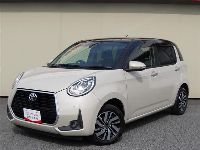 ȥ西 ѥå ⡼ǥѥåե륻꡼ʥ