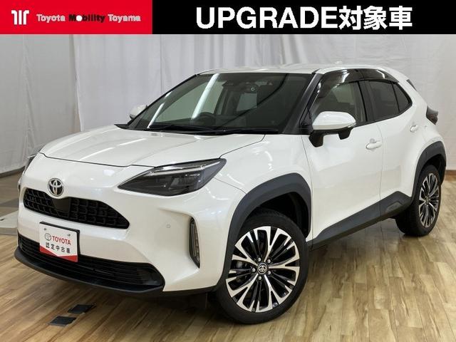 ȥ西 ꥹ ǡףġե륻Хå