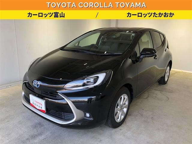 ȥ西  ڡݥӡ롼ȥ롡ѥΥߥåӥ塼˥