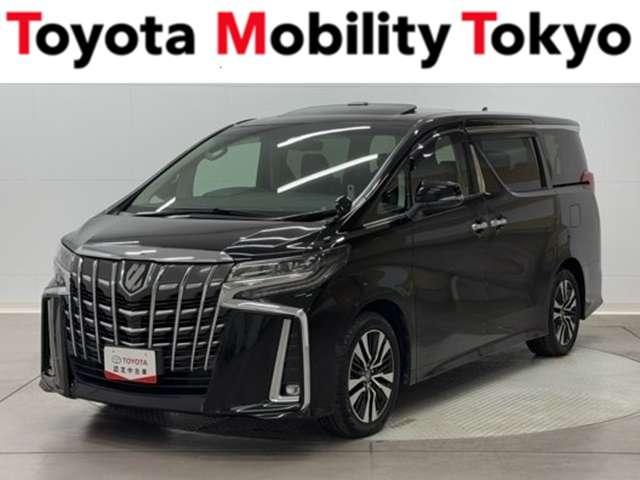 ȥ西 ե ӡåѥåﳲڸ֥졼ѥХåɥ