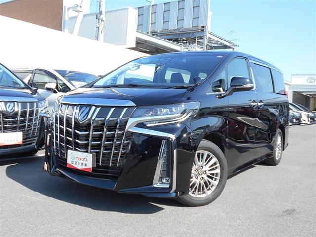 ȥ西 ե ӡե륻꡼ʥӡߥ塼åץ쥤䡼³