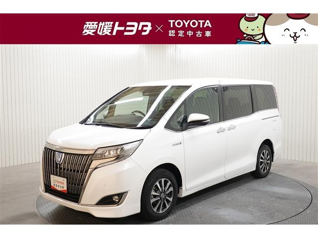 エスクァイア(トヨタ) ハイブリッドＧｉプレミアムパッケジブラックテーラード　フルセグ　メモリーナビ　ＤＶＤ再生　後席モニター　バックカメラ　衝突被害軽減システム　ＥＴＣ　両側電動スライド　ＬＥＤヘッドランプ　乗車定員７人　３列シート　記録簿 中古車画像