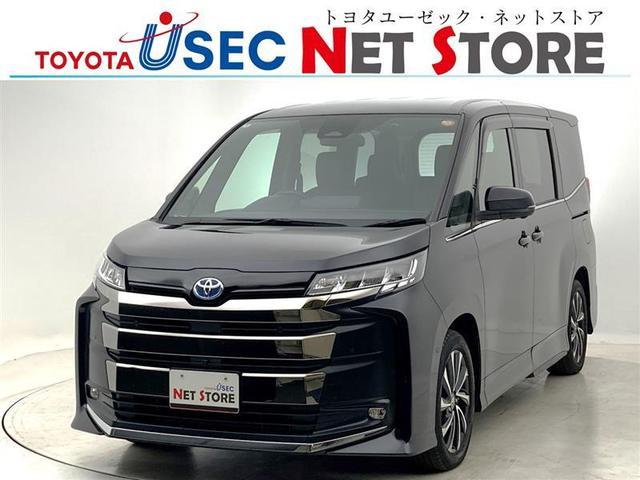 Υ ϥ֥åɣӡݣڡȥ西եƥ 0509745A20251111T004 1