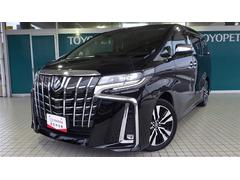 ȥ西եɡӡåѥåե륻꡼ʥ