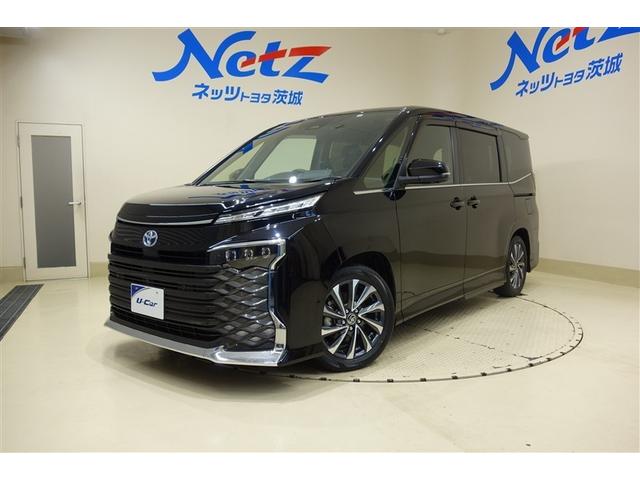 茨城県内にお住まいの方への販売に限らせていただきます 【充実装備です】１０型ＤＡナビ＋１４型後席モニタ／アドバンストパーク／電