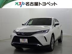 ϥꥢ ڡﳲڸƥࡡ꡼ʥӡե륻Хå顡ţԣáɥ쥳ߥ塼åץ쥤䡼³ġưȡȥ롼ȥ롡̣ţĥإåɥסޡȥ쥹