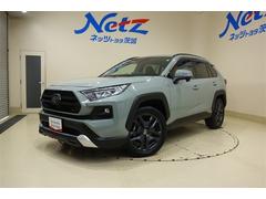 ȥ西ң֣ɥ٥㡼ǥץ쥤ǥʥӡե륻ԣ֥֡롼ȥ