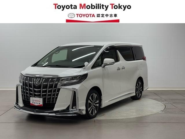 ȥ西 ե ӡåѥåͷڸʥ