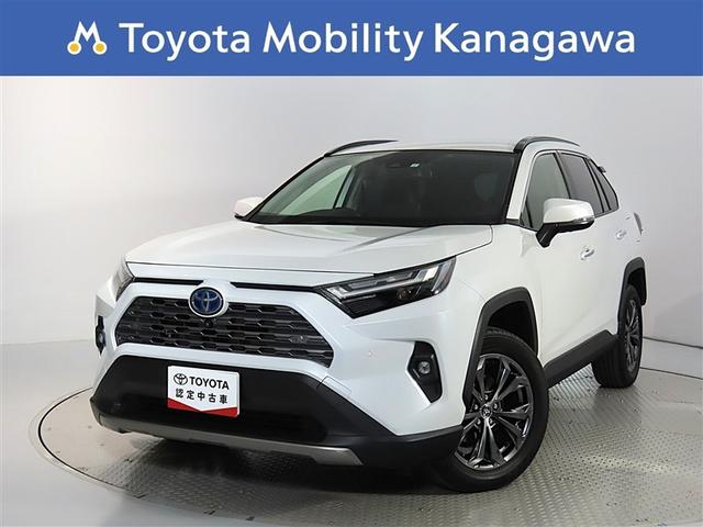 ハードな道も爽快に乗りこなす、パワフルな走りのＲＡＶ４・純正ナビ・パノラ
