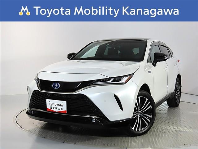 ץ饰ϥ֥åɤǳΥϥꥢͥƥåɥʥӣУ̣գӡѥ 1