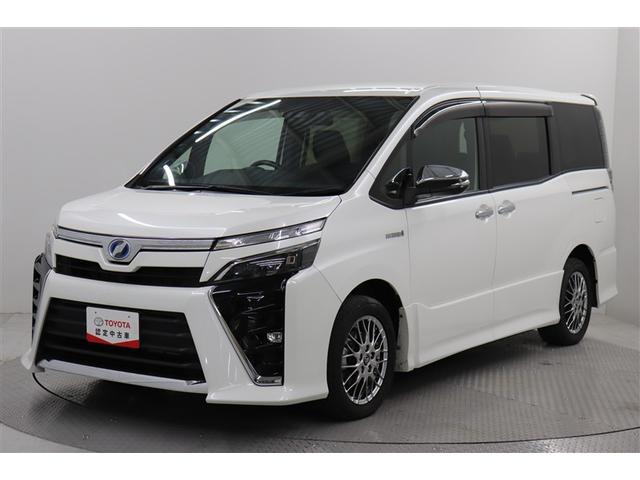  ϥ֥åɣڣӡꡡץ󡡣 0202264A20251113T003 1