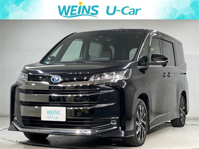 ȥ西 Υ ϥ֥åɣӡݣڡ;ꡡʥӡե륻ԣ֡£