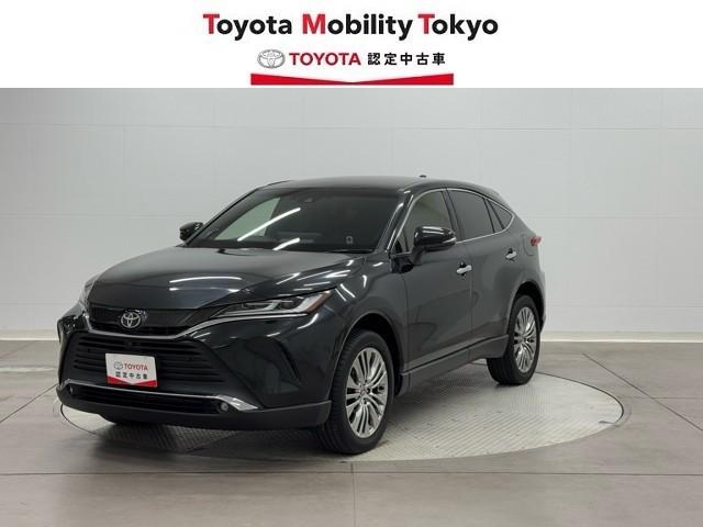 ȥ西 ϥꥢ ڡ쥶ѥåϿ