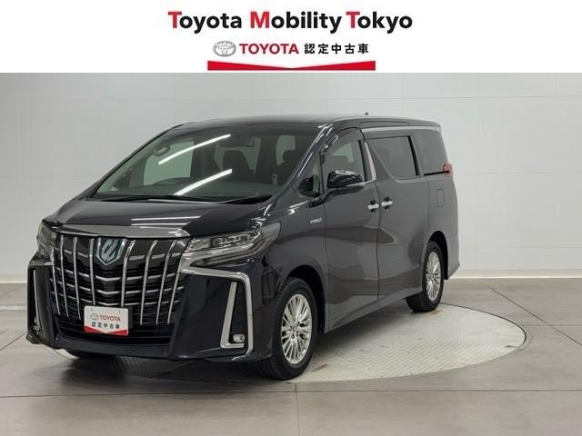 ȥ西 եɥϥ֥å ӣҡåѥåϿ󥪥