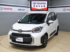 ȥ西󥿡ϥ֥åɣڡե륻꡼ʥӡХå