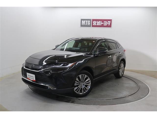 ϥꥢ ڡ쥶ѥåץȡ롼 0903749A20251113T001 1