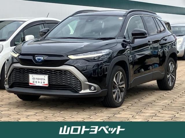 饯 ϥ֥åɡڡХå顡ﳲڸƥ 1002219A20251113T001 1