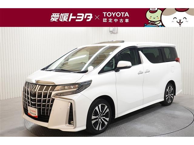 サンルーフ・ブラインドモニタ・デジタルミラー・ＤＡナビ・フルセグ・アクセ