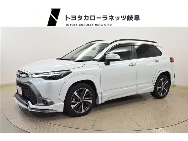 Ȥɤ˷кŪʥϥ֥åɥ󤴸Ƥڴ츩 1