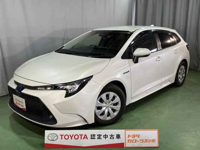 ġ ϥ֥åɡǡݣءףġ꡼ʥ 0303600A20251114T004 1