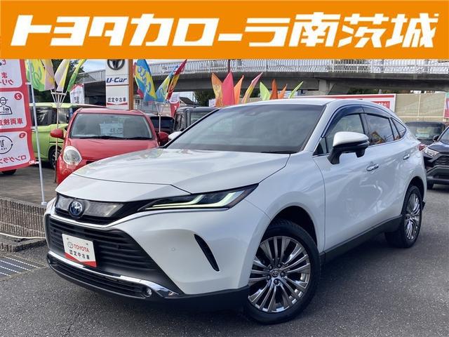 ȥ西 ϥꥢϥ֥å ڡ쥶ѥåϥǥɻ