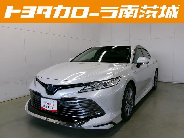 ȥ西  ǡţӣá䥫顡ѥɥ